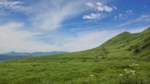 福岡の自動車保険をオンラインで申込みする際の注意点は？